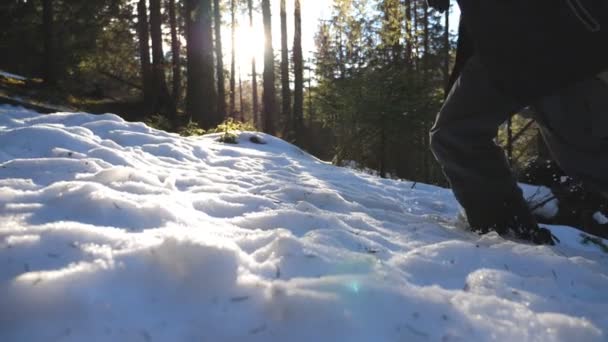 Tiefansicht eines jungen Mannes beim Joggen am Schneehang im Latschenkiefernwald. männliche Touristen, die an einem sonnigen Tag auf einen verschneiten Hügel laufen. schönes Sonnenlicht im Hintergrund. Reisekonzept. Zeitlupe in Nahaufnahme — Stockvideo