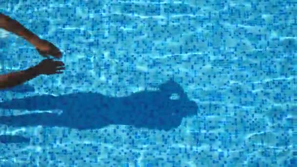 Vista superior de hombre deportivo irreconocible saltando en el agua azul claro de la piscina. Joven musculoso flotando a través de la cuenca del hotel en un día soleado. Concepto de vacaciones de verano o vacaciones. De cerca. — Vídeo de stock