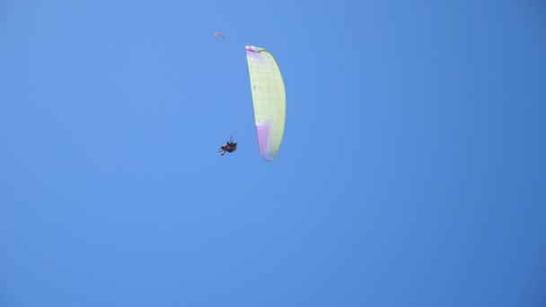 Unrecognizable people flying on parachutes in the air streams and enjoying freedom on summer sunny day. Several paragliders soaring in clear blue sky at morning. Concept of active extreme sport — Stock Video