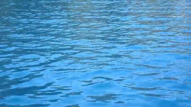 游泳池或海里的蓝色清澈的水。美丽的水纹理背景。关闭慢速运动 — 图库视频影像