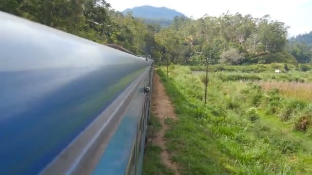 Vista da janela do velho trem azul que se move no campo cênico no dia ensolarado. Transporte ferroviário de passageiros equitação através da bela paisagem da natureza. Conceito de viagem. Fechar — Vídeo de Stock