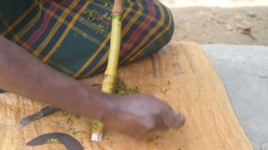 Elleri tanınmaz Asya adam canella Ağaç kabuğundan doğa kesme. Hintli işleme dal tarçın açık kollarına. Adam geleneksel üretim gösterir. Yakın çekim