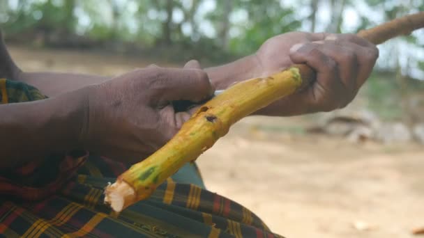 Mãos de homem asiático processamento ramo de canela ao ar livre. Braços de homem indiano cortando casca da árvore de canela na natureza. Um tipo irreconhecível demonstra a produção tradicional. Vista lateral Fechar — Vídeo de Stock