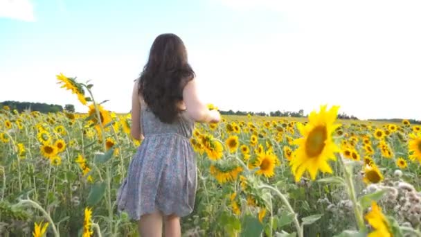 黄色のひまわり畑で実行されている認識できない美しい少女。夏の日の間に牧草地を通ってジョギング幸せな若い女。自由レジャー概念。スローモーション — ストック動画