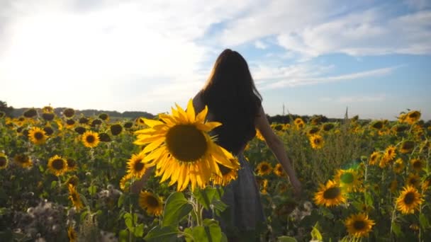 Vacker flicka stående på gul solros fält och höja händerna. Ung oigenkännlig kvinna i klänning som njuter av sommaren naturen på ängen. Solen skina på bakgrunden. Frihet-konceptet. Slow motion — Stockvideo