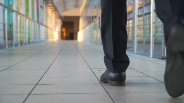 Voeten van succesvolle zakenman lopen in de hal van de terminal en trekken koffer op wielen. Benen van een zelfverzekerde ondernemer die met zijn bagage naar binnen gaat. Concept van zakenreis. Achteraanzicht Slow motion — Stockvideo