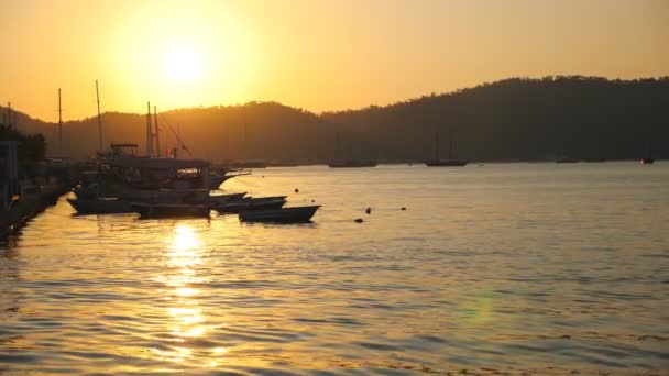 Vacker utsikt över fiskebåtar flyter på havsytan med solnedgång i bakgrunden. Fiskefartyg står i hamn nära kusten. Gyllene solljus lyser upp havsmiljön. Natursköna havslandskap — Stockvideo
