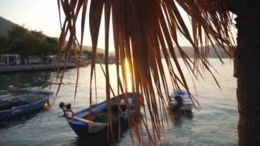 Deniz yüzeyinde yüzen balıkçı teknelerinin olduğu güzel bir deniz manzarası ve arka planda günbatımı. Altın güneş ışığı, palmiye yapraklarının arasından hafif bir esintiyle parlıyor. Doğa manzarası. Yavaş çekim