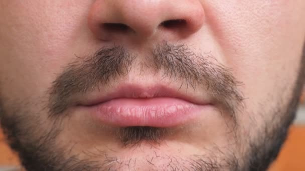 Close up lips of young bearded man. Detail view on closed male mouth. Portrait of handsome guy with serious and confident expression on the face. Front view — Stockvideo