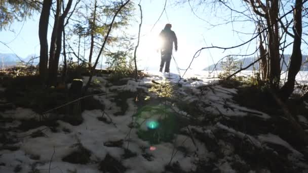 Młody wędrowiec idzie na zaśnieżone pole niedaleko lasu. Nierozpoznany człowiek chodzi po śnieżnej łące w słoneczny dzień. Słońce świeci w tle. Pojęcie podróży zimowej lub podróży. Widok z tyłu Zwolniony ruch — Wideo stockowe
