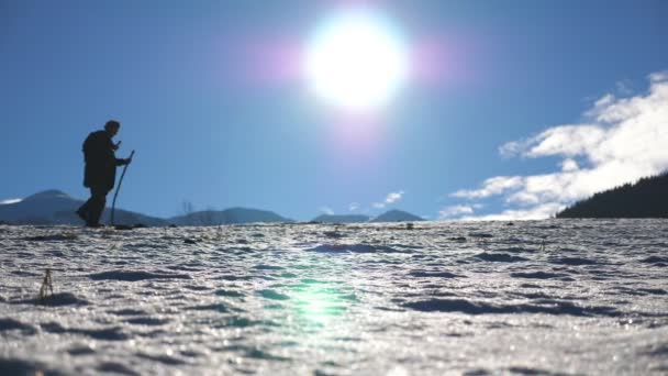 Joven excursionista va caminando nórdico con palos en el prado nevado en el día soleado. El hombre irreconocible camina en el campo de nieve y hace ejercicio en el día de invierno. Luz del sol en el fondo. Concepto de estilo de vida activo saludable . — Vídeos de Stock