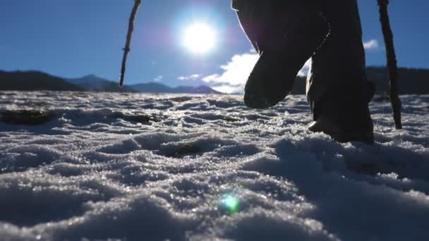 Tanınmayan bir adam, güneşli bir günde kar tarlasında çubuklarla kuzeye doğru yürür. Genç yürüyüşçüler karlı çayırlarda yürürler ve kış günü antrenman yaparlar. Arka planda güneş ışığı. Sağlıklı aktif yaşam tarzı. Arka görünüm — Stok video