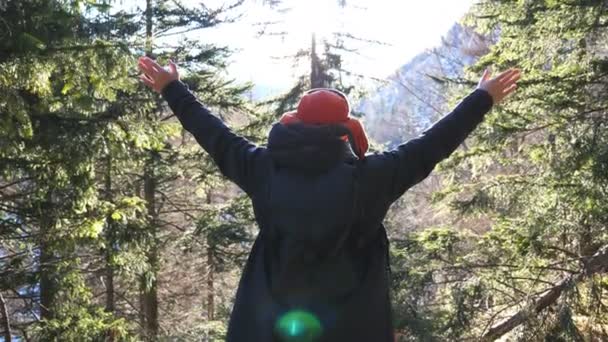 Vista trasera del excursionista masculino disfruta de una hermosa naturaleza con las manos en alto a principios de la primavera. Joven mochilero explora el bosque de abetos con luz solar en el fondo. Concepto de vacaciones o vacaciones. Primer plano: cámara lenta — Vídeos de Stock