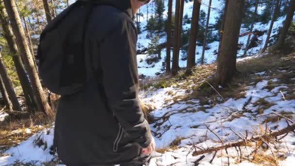 Ein männlicher Tourist mit Rucksack geht den Schneehang des Kiefernwaldes hinunter. junge Backpacker geht den schneebedeckten Hügel in Kiefern hinunter. Typen, die in der Natur wandern. Konzept des Winterurlaubs oder Urlaub. Rückansicht langsam mo — Stockvideo