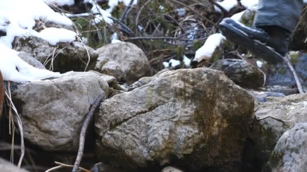 Close-up van mannelijke voeten wandelingen over stenen op de berg rivier in het bos. Poten van jonge wandelaars stappen tijdens het reizen over rotsen op kleine beekjes. Begrip wintervakantie of vakantie. Laag zicht Langzame beweging — Stockvideo