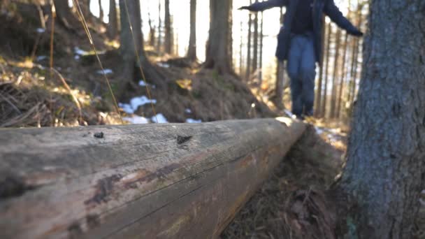 Low view of male hiker walks along the lying wood log in pine forest at early spring. Young man spends time on nature during travel at sunny day. Concept of vacation or holiday. Close up Slow motion — Stock Video