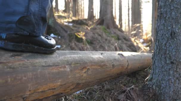 Los pies masculinos de excursionista caminan a lo largo del tronco de madera en el bosque de pinos a principios de primavera. Joven irreconocible pasa tiempo en la naturaleza durante el viaje. Concepto de vacaciones o vacaciones. Vista baja cámara lenta — Vídeos de Stock