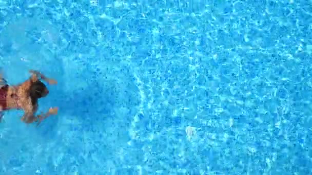 Γυναίκα με κόκκινο μπικίνι κολυμπά στην πισίνα με κρυστάλλινα νερά. Κομψή κυρία χαλαρώνοντας σε τροπικό θέρετρο κατά τη διάρκεια των διακοπών. Sexy κορίτσι αναζωογονητικό σε λεκάνη ανάπαυσης στο πολυτελές ξενοδοχείο. Πάνω άποψη Αργή mo — Αρχείο Βίντεο
