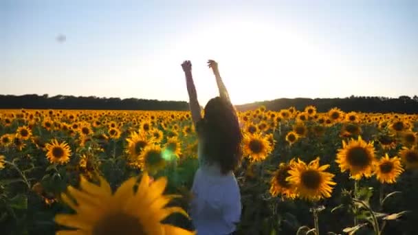 Mujer atractiva en vestido blanco corriendo por el campo con girasoles al atardecer. Siga a la joven chica despreocupada disfrutando de la libertad en un hermoso entorno natural. Paisaje escénico de verano. Movimiento lento — Vídeos de Stock