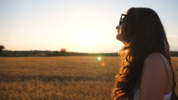 Piękna kobieta przechadzająca się po polu pszenicy o zachodzie słońca. Profil beztroskiej dziewczyny cieszącej się letnim wieczorem i swobodą w malowniczym otoczeniu przyrody. Pani spacerująca po łące. Widok z boku zbliżenie — Wideo stockowe