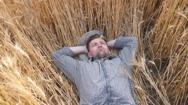 Чоловік фермер лежить на пшеничних стеблах і відпочиває на зерновому полі. Молодий агроном лежить на стеблах ячменю і розслабляється на ячмінному лузі. Концепція аграрного бізнесу. Вид зверху Повільний рух — стокове відео