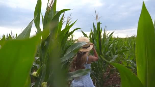 Hermosa niña en sombrero de paja corriendo a través del campo de maíz, girando a la cámara y sonriendo. Feliz niño pequeño con el pelo largo y rubio divirtiéndose mientras trota sobre la plantación de maíz. Movimiento lento — Vídeos de Stock