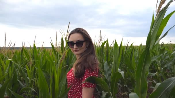 Attractive cute girl in sunglasses with long brown hair standing in corn field, turning to camera and smiling. Portrait of beautiful young woman in red dress on meadow at overcast day. Slow motion — 图库视频影像