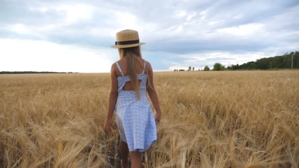 曇り日に小麦畑を歩く麦わら帽子の小さな女の子に従ってください。長いブロンドの髪を持つかわいい子供は、作物の黄金の耳に触れる。大麦の草原を越えるドレスの小さな子供 — ストック動画