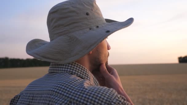 Jonge boer staat in tarweveld en kijkt naar de gouden plantage. Mannelijke landbouwkundige onderzoekt gerstweide bij zonsondergang. Begrip landbouwbedrijf. Zonlicht op de achtergrond. Dolly shot Slow mo — Stockvideo
