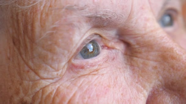Porträtt av äldre kvinna som tittar på lyhörd för avstånd. Närbild av rynkigt kvinnligt ansikte. Mormor med lugnt ansiktsuttryck. Slow motion Detalj Sidovy — Stockvideo