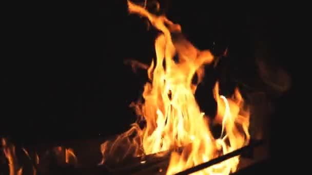 Close up of beautiful flames rises from burning slices wood in mangal at night. Bonfire inside metal brazier at darkness. Firewood burns in barbecue on black background. Concept of warmth and rest — Stock Video