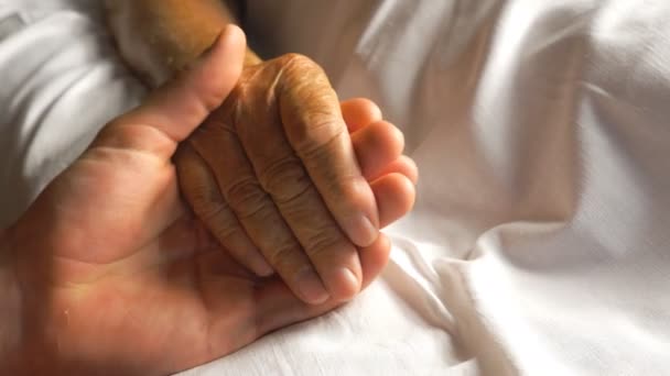 Hasta annesinin elini tutan ve hafifçe okşayan endişeli bir adam destek veriyor. Oğlu, hastanede yatan yaşlı bir annenin kırışık kolunu rahatlatıyor. Adam eski ailesine sevgi ya da ilgi gösteriyor. Yakın çekim. — Stok video