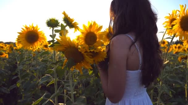 Chica joven con ramo de flores en las manos caminando a lo largo del campo de girasoles. El sol brilla en el fondo. Sigue a la mujer que va al prado. Vista trasera Vista lenta en cámara lenta — Vídeos de Stock