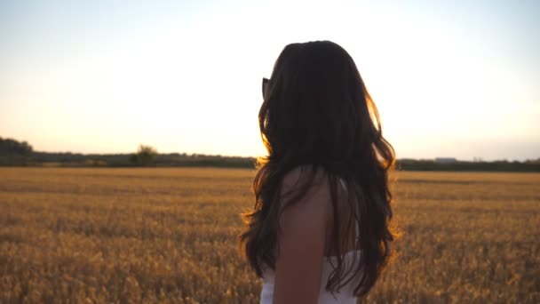 Mooi meisje loopt langs tarweveld met zon flare op achtergrond. Profiel van:: jonge vrouw gaan op de weide bij zonsondergang. Zomer recreatieve aard concept. Zijaanzicht close-up in Slow motion — Stockvideo