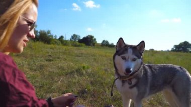 Sarı saçlı mutlu kız yeşil çimenlerde oturuyor ve güneşli bir günde Sibirya köpeğini sahada eğitiyor. Genç bir kadın elinde atıştırmalıkla çayırda evcil hayvanıyla oynuyor. Yan Görünüm Kapat