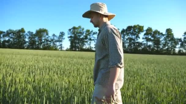 Vista lateral de un joven agricultor con sombrero en plantación de cereales en el soleado día de verano. Perfil del hombre confiado caminando sobre el campo de trigo verde en su granja. Concepto de negocio agrícola. De cerca. — Vídeo de stock