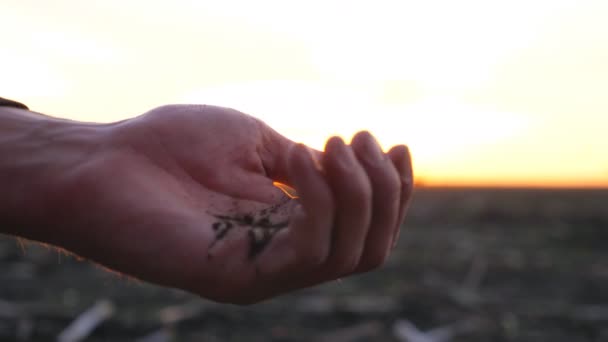 Hand av människan fångar hälla jord och sålla den genom fingrar vid solnedgången bakgrund. En manlig bonde kollar jord på sitt fält. suddig bakgrund med solnedgång. Långsam rörelse Närbild — Stockvideo