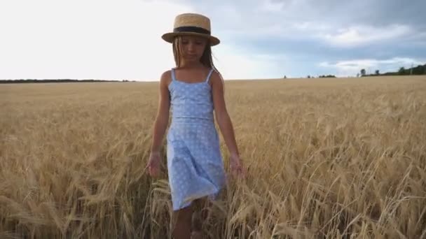 길고 금발의 긴 머리를 가진 아름다운 작은 소녀가 밀밭을 거닐고 있다. 지푸라기 모자를 쓴 귀여운 아이 가황 금빛 곡식 의귀를 만지고 있다. 드레스를 입은 꼬마가 배리대 초원을 거닐고 있습니다. 돌리 샷 — 비디오