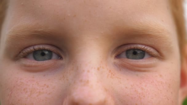 Blauwe ogen van kleine vrolijke jongen knipperen en kijken in de camera met een gelukkig gezicht. Portret van schattig gezicht van jong lachend kind met sproeten kijken met positieve emotie. Sluiten. — Stockvideo