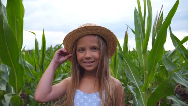 魅力的な小さな女の子の肖像画カメラを見て、トウモロコシ畑の背景に彼女のわら帽子をまっすぐにします。小さな子供とともに長いブロンド髪立っているでザ牧草地に有機農場 — ストック動画