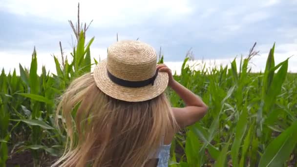 Следуйте за маленькой девочкой в соломенной шляпе, бегущей через кукурузное поле в пасмурный день. Малыш в платье бегает по зеленому лугу. Милый ребенок с длинными светлыми волосами, пересекающими плантацию кукурузы. Медленное движение — стоковое видео