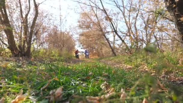 Dos motociclistas viajan rápido en sus motocicletas a través del bosque de otoño. Amigos que descansan activamente en la naturaleza conduciendo motocicletas potentes. Los ciclistas disfrutan de un viaje juntos. Concepto de deporte extremo — Vídeos de Stock