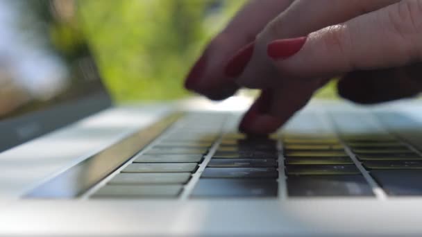 用红色指甲在笔记本电脑键盘上输入一些文字的女性手指上的详细视图。女商人在户外用笔记本。有创意的自由职业者在大自然的新项目上工作。模糊的背景 — 图库视频影像