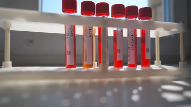 Tubos de ensayo con muestras de sangre para coronavirus en estante en el laboratorio u hospital. Análisis de laboratorio de sangre de pacientes a COVID-19. Concepto de investigación científica y vida de seguridad de la pandemia del virus de la corona — Vídeo de stock