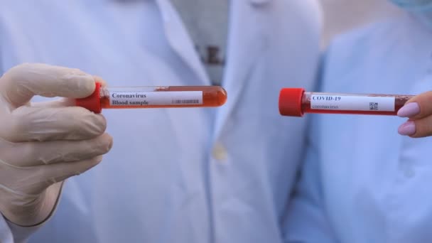 Hands of male and female doctors explores test tubes with blood sample to coronavirus. Arms of medics with protective gloves tests blood samples. Concept of health and safety life from COVID-19 — Stock Video