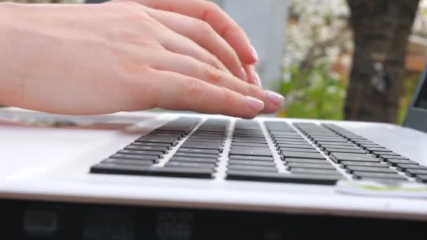 Female hands typing some text on keyboard of laptop. Unrecognizable woman working at notebook outdoors. Girl communicating with somebody or browsing internet. Creative freelancer using pc on nature — Stock Video