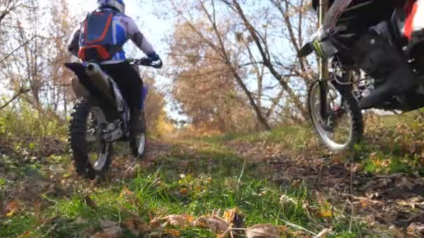 오토바이를 타는 사람들은 가을 숲 속을 오토바이를 타고 빠른 속도로 달립니다. 활동적으로 휴식을 취하는 친구들 이 강력 한 오토바이를 운전 한다. 자전거를 타는 사람들은 함께 여행을 즐긴다. 극도의 스포츠 개념. 뒷모습 — 비디오