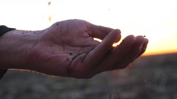 La mano del hombre atrapa verter tierra y tamizar a través de los dedos al atardecer telón de fondo. Hombre agricultor comprobando la calidad del suelo en su campo. Fondo borroso con puesta de sol. Cámara lenta Primer plano — Vídeo de stock