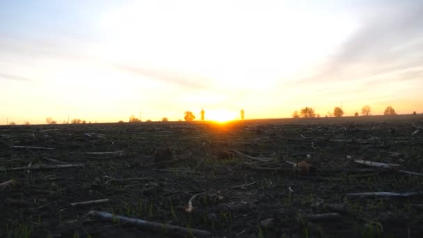 Silhouet van twee motorrijders die vanaf zonsondergang op hun motor rijden. Mannen hebben actieve rust buiten rijden krachtige motorfietsen in de schemering. Motorrijders genieten van de reis. Extreem sport concept. Scenic view — Stockvideo