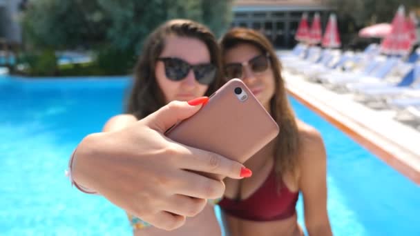 Atractivas morenas tomando selfie retrato en el teléfono inteligente. Mujeres jóvenes y despreocupadas haciendo fotos durante las vacaciones de verano. Hermosas damas con gafas de sol posando en cámara. Dos novias descansando juntas — Vídeo de stock